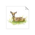 Picture of Deer in grass _GroupedProduct_Square_Mini_ _GroupedProduct_Square_Unframed_Print_Only_