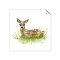 Picture of Deer in grass _GroupedProduct_Square_Mini_ _GroupedProduct_Square_Unframed_Print_Only_