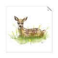 Picture of Deer in grass _GroupedProduct_Square_Mini_ _GroupedProduct_Square_Unframed_Print_Only_