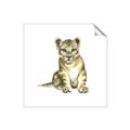 Picture of Little Lion _GroupedProduct_Square_Mini_ _GroupedProduct_Square_Unframed_Print_Only_