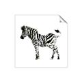 Picture of Little Zebra _GroupedProduct_Square_Mini_ _GroupedProduct_Square_Unframed_Print_Only_