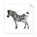 Picture of Little Zebra _GroupedProduct_Square_Mini_ _GroupedProduct_Square_Unframed_Print_Only_