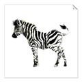 Picture of Little Zebra _GroupedProduct_Square_Mini_ _GroupedProduct_Square_Unframed_Print_Only_