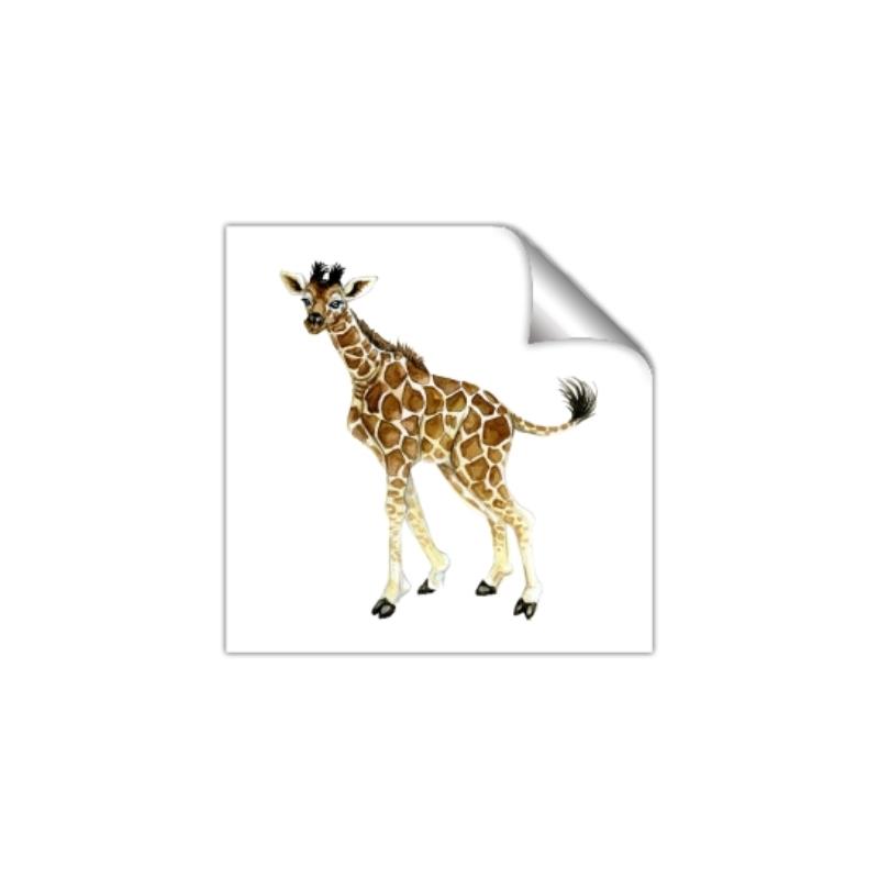 Picture of Little Giraffe _GroupedProduct_Square_Mini_ _GroupedProduct_Square_Unframed_Print_Only_