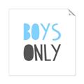 Picture of Boys Only Blue _GroupedProduct_Square_Mini_ _GroupedProduct_Square_Unframed_Print_Only_