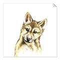 Picture of Woodland Wolf _GroupedProduct_Square_Mini_ _GroupedProduct_Square_Unframed_Print_Only_