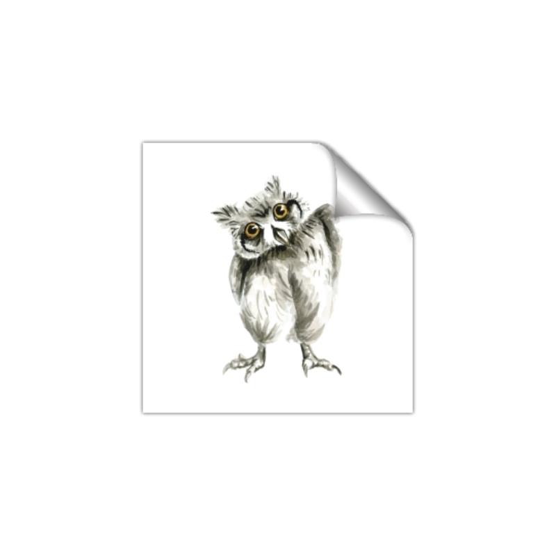 Picture of Woodland Owl _GroupedProduct_Square_Mini_ _GroupedProduct_Square_Unframed_Print_Only_