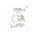 Picture of Sharks _GroupedProduct_Rectangle_Portrait_Mini_ _GroupedProduct_Rectangle_Portrait_Unframed_Print_Only_