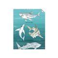 Picture of Sharks Chart _GroupedProduct_Rectangle_Portrait_Mini_ _GroupedProduct_Rectangle_Portrait_Unframed_Print_Only_