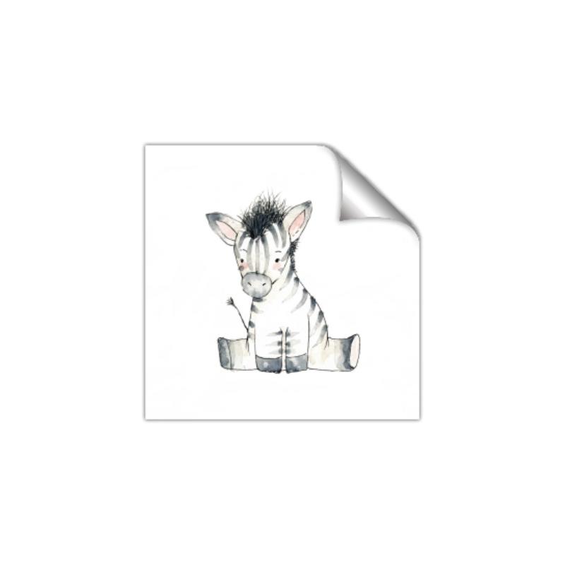 Picture of Baby Zebra _GroupedProduct_Square_Mini_ _GroupedProduct_Square_Unframed_Print_Only_