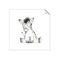 Picture of Baby Zebra _GroupedProduct_Square_Mini_ _GroupedProduct_Square_Unframed_Print_Only_