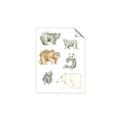 Picture of Bears _GroupedProduct_Rectangle_Portrait_Mini_ _GroupedProduct_Rectangle_Portrait_Unframed_Print_Only_
