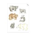 Picture of Bears _GroupedProduct_Rectangle_Portrait_Mini_ _GroupedProduct_Rectangle_Portrait_Unframed_Print_Only_