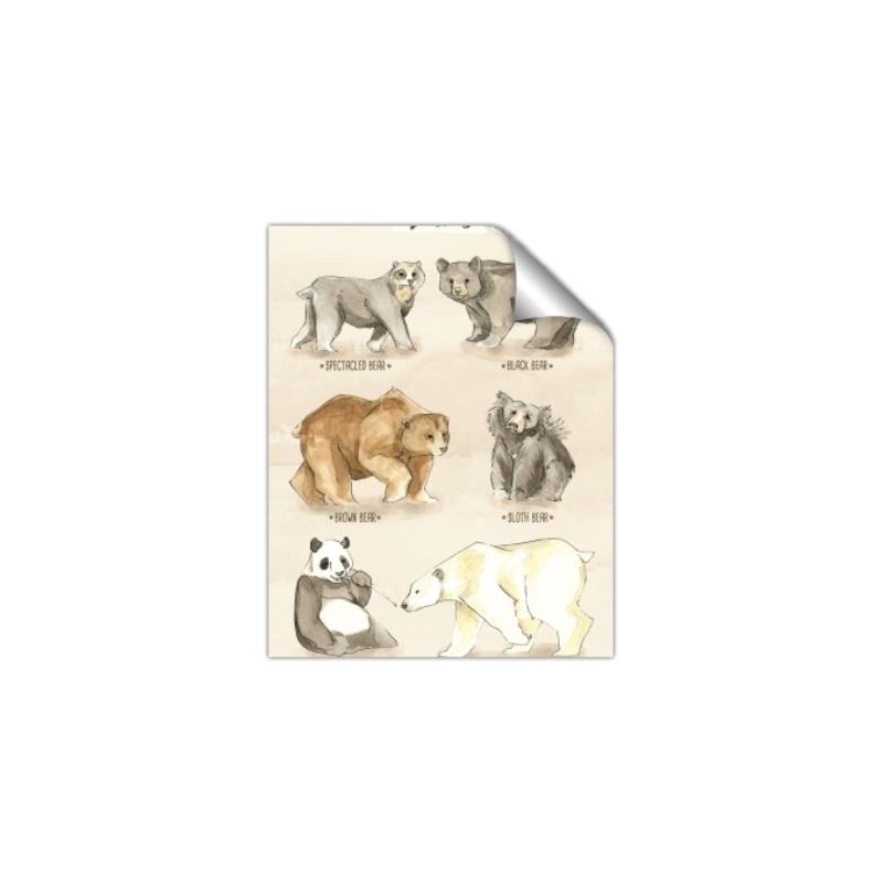 Picture of Bears Chart _GroupedProduct_Rectangle_Portrait_Mini_ _GroupedProduct_Rectangle_Portrait_Unframed_Print_Only_