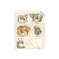 Picture of Bears Chart _GroupedProduct_Rectangle_Portrait_Mini_ _GroupedProduct_Rectangle_Portrait_Unframed_Print_Only_