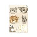 Picture of Bears Chart _GroupedProduct_Rectangle_Portrait_Mini_ _GroupedProduct_Rectangle_Portrait_Unframed_Print_Only_