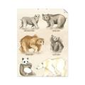 Picture of Bears Chart _GroupedProduct_Rectangle_Portrait_Mini_ _GroupedProduct_Rectangle_Portrait_Unframed_Print_Only_