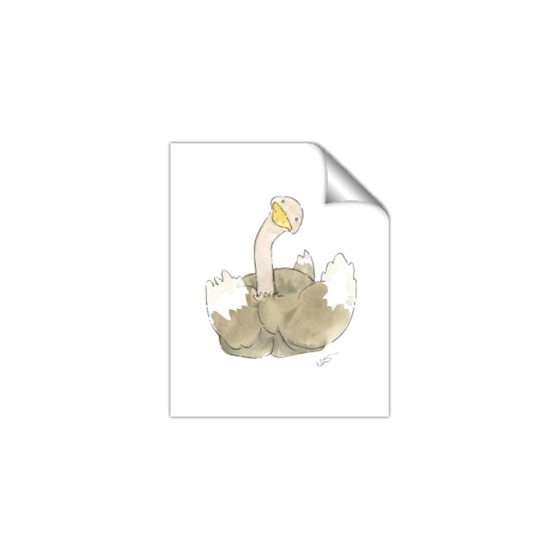 Picture of Silly Ostrich  _GroupedProduct_Rectangle_Portrait_Mini_ _GroupedProduct_Rectangle_Portrait_Unframed_Print_Only_