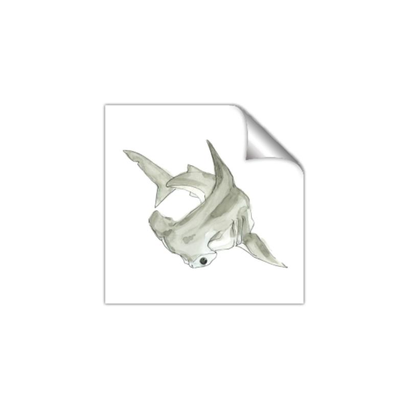 Picture of Hammerhead  _GroupedProduct_Square_Mini_ _GroupedProduct_Square_Unframed_Print_Only_