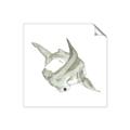 Picture of Hammerhead  _GroupedProduct_Square_Mini_ _GroupedProduct_Square_Unframed_Print_Only_