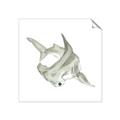 Picture of Hammerhead  _GroupedProduct_Square_Mini_ _GroupedProduct_Square_Unframed_Print_Only_