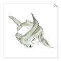 Picture of Hammerhead  _GroupedProduct_Square_Mini_ _GroupedProduct_Square_Unframed_Print_Only_