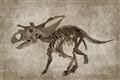 Picture of Dino Skeleton III _GroupedProduct_Rectangle_Landscape_Mini_ _GroupedProduct_Rectangle_Landscape_Unframed_Print_Only_