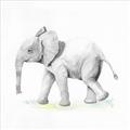 Picture of Jungle Elephant _GroupedProduct_Square_Mini_ _GroupedProduct_Square_Unframed_Print_Only_