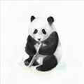 Picture of Jungle Panda _GroupedProduct_Square_Mini_ _GroupedProduct_Square_Unframed_Print_Only_