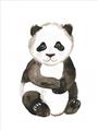 Picture of Panda Babe _GroupedProduct_Rectangle_Portrait_Mini_ _GroupedProduct_Rectangle_Portrait_Unframed_Print_Only_