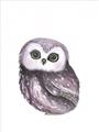 Picture of Little Farm Owl _GroupedProduct_Rectangle_Portrait_Mini_ _GroupedProduct_Rectangle_Portrait_Unframed_Print_Only_