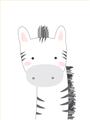 Picture of Gray Zebra _GroupedProduct_Rectangle_Portrait_Mini_ _GroupedProduct_Rectangle_Portrait_Unframed_Print_Only_