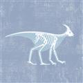 Picture of Blue X-ray Dino I _GroupedProduct_Square_Mini_ _GroupedProduct_Square_Unframed_Print_Only_