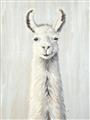Picture of Brown and White Llama _GroupedProduct_Rectangle_Portrait_Mini_ _GroupedProduct_Rectangle_Portrait_Unframed_Print_Only_