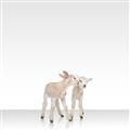 Picture of Together Lambs _GroupedProduct_Square_Mini_ _GroupedProduct_Square_Unframed_Print_Only_
