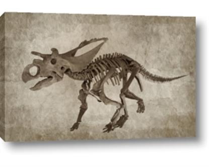 Picture of Dino Skeleton III