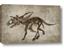 Picture of Dino Skeleton III