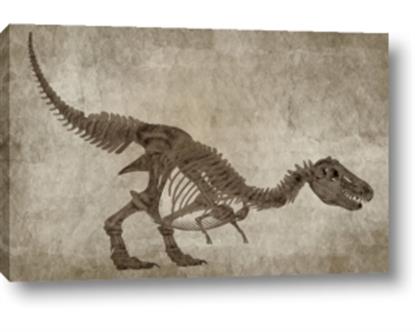 Picture of Dino Skeleton IV