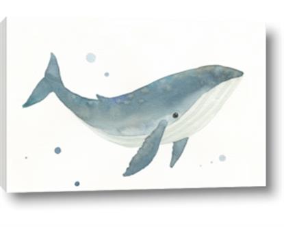 Picture of Blue Whale