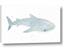 Picture of Blue Whale lll