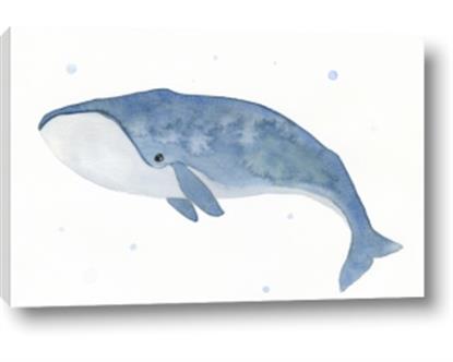 Picture of Blue Whale ll