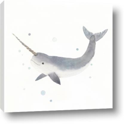 Picture of Narwhal