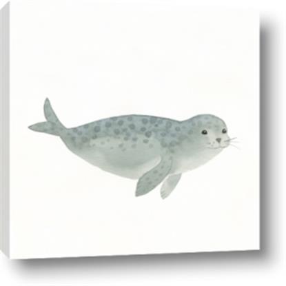 Picture of Spotted Seal