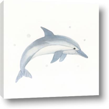 Picture of Dolphin