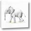 Picture of Jungle Elephant