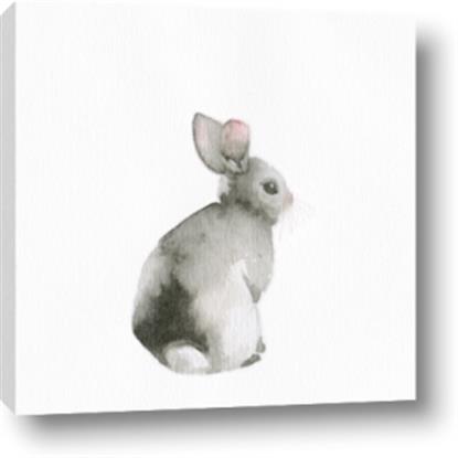Picture of Bunny I-M