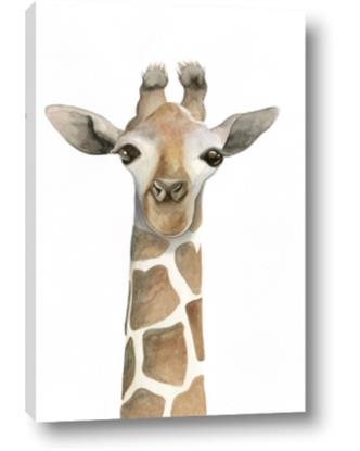 Picture of Giraffe Peekaboo