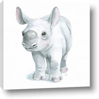 Picture of Tiny Rhino