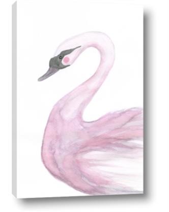 Picture of Pink Swan