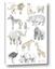 Picture of Zoo  Life